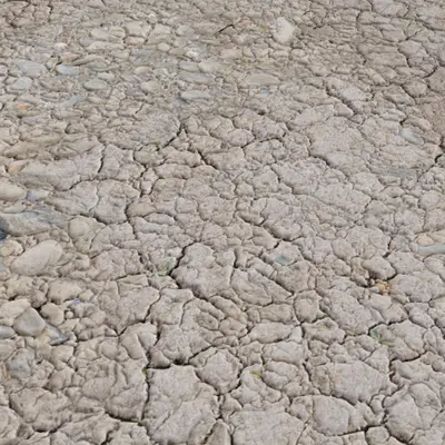 Cracked Ground