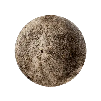 Deciduous Woodland 10