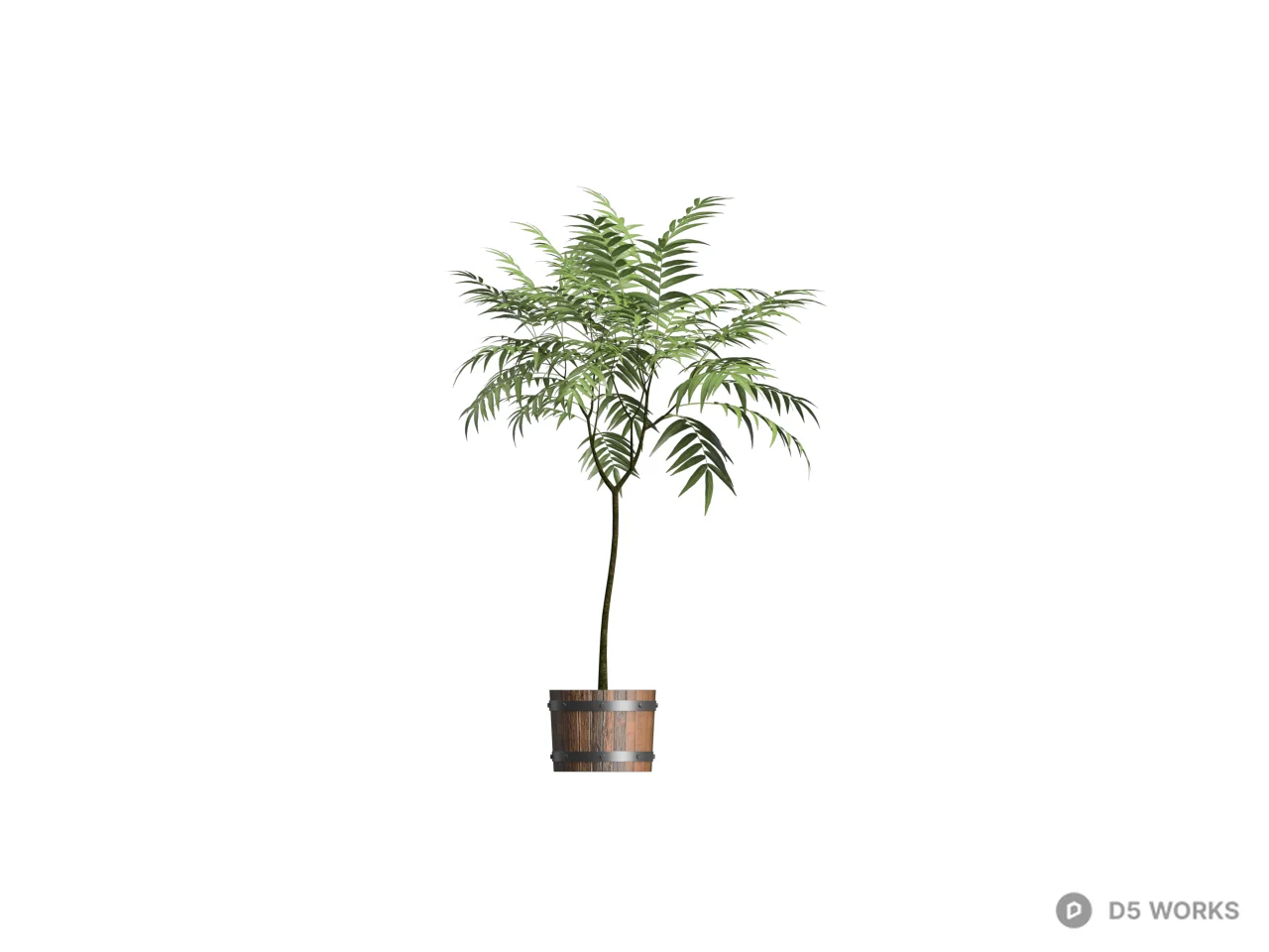 Potted Fern Plant 3d model thumbnail 2