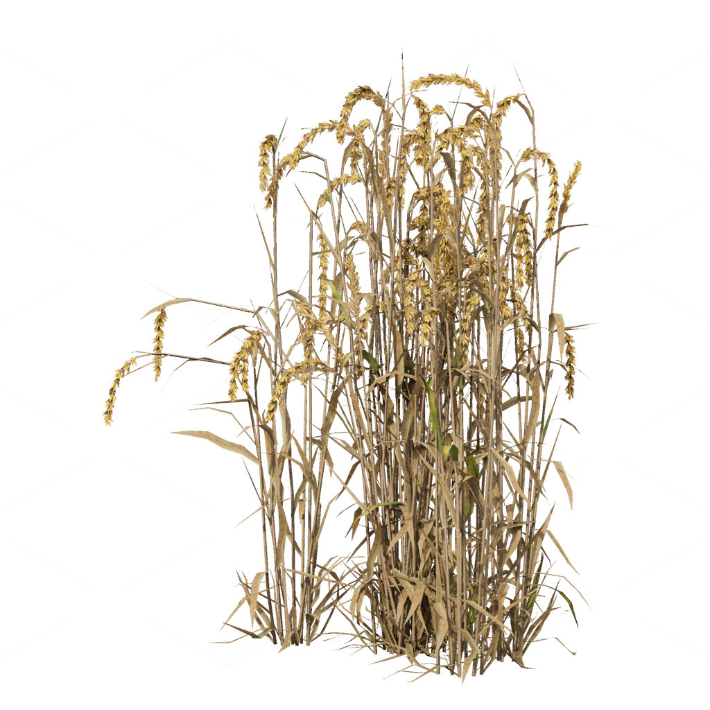 Crops 3D Models