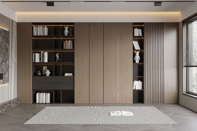 Modern Bookcase