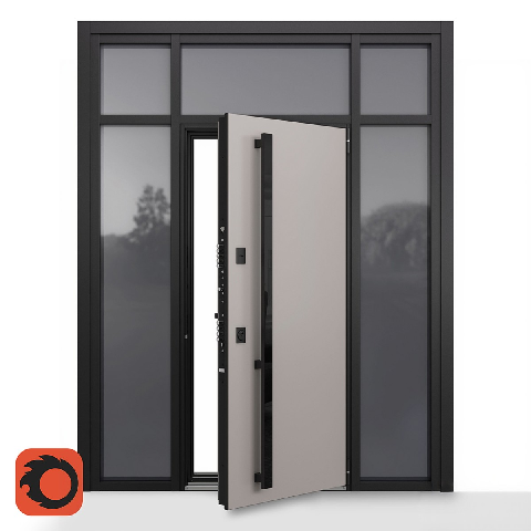 Modern Single Door