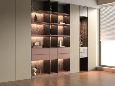 Modern Bookcase With Integrated Lighting 3d model
