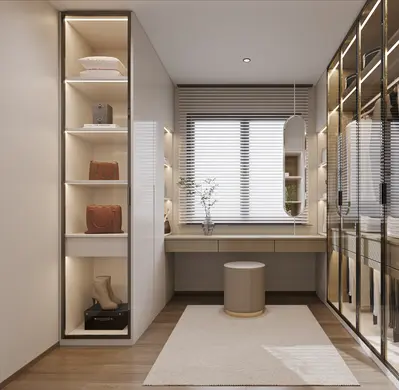 Modern Walk-in Closet