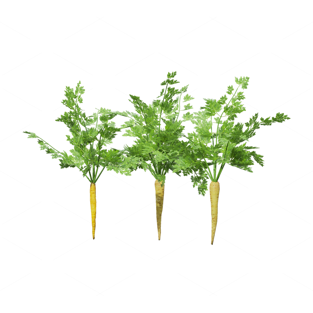 Crops 3D Models