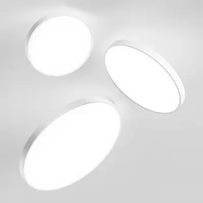 Modern Flush Mount Light