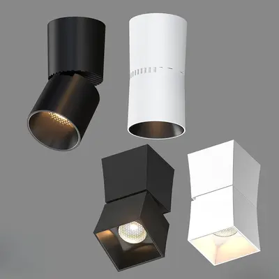 Downlight & Spotlight