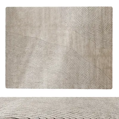 Carpet 3d model