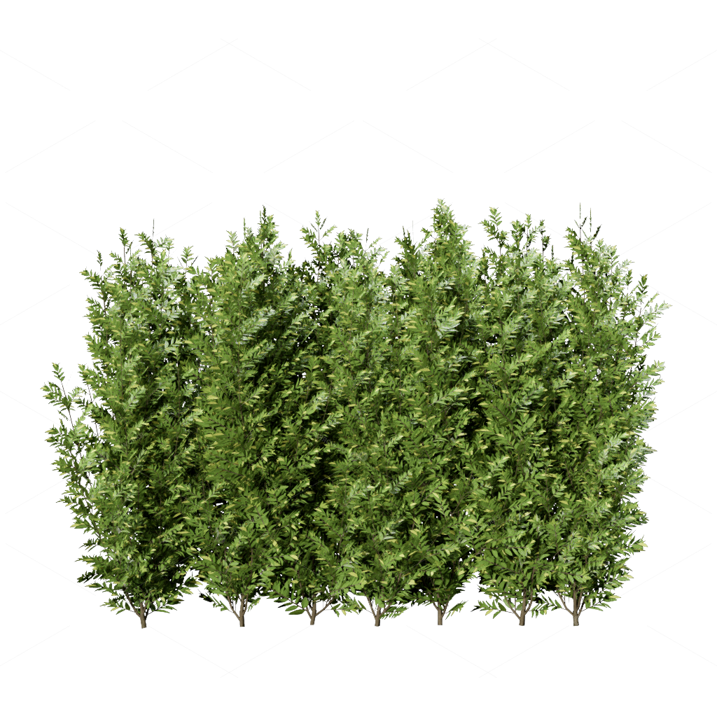 Greenery 3D Models