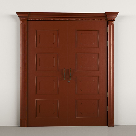 Modern Double Door