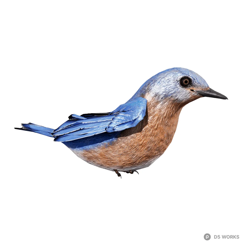 BlueBird idle 3d model - Image 1