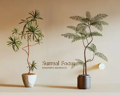 Modern Potted Plant 3d model
