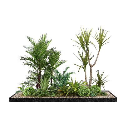 Plant Cluster Grouped vegetation 38