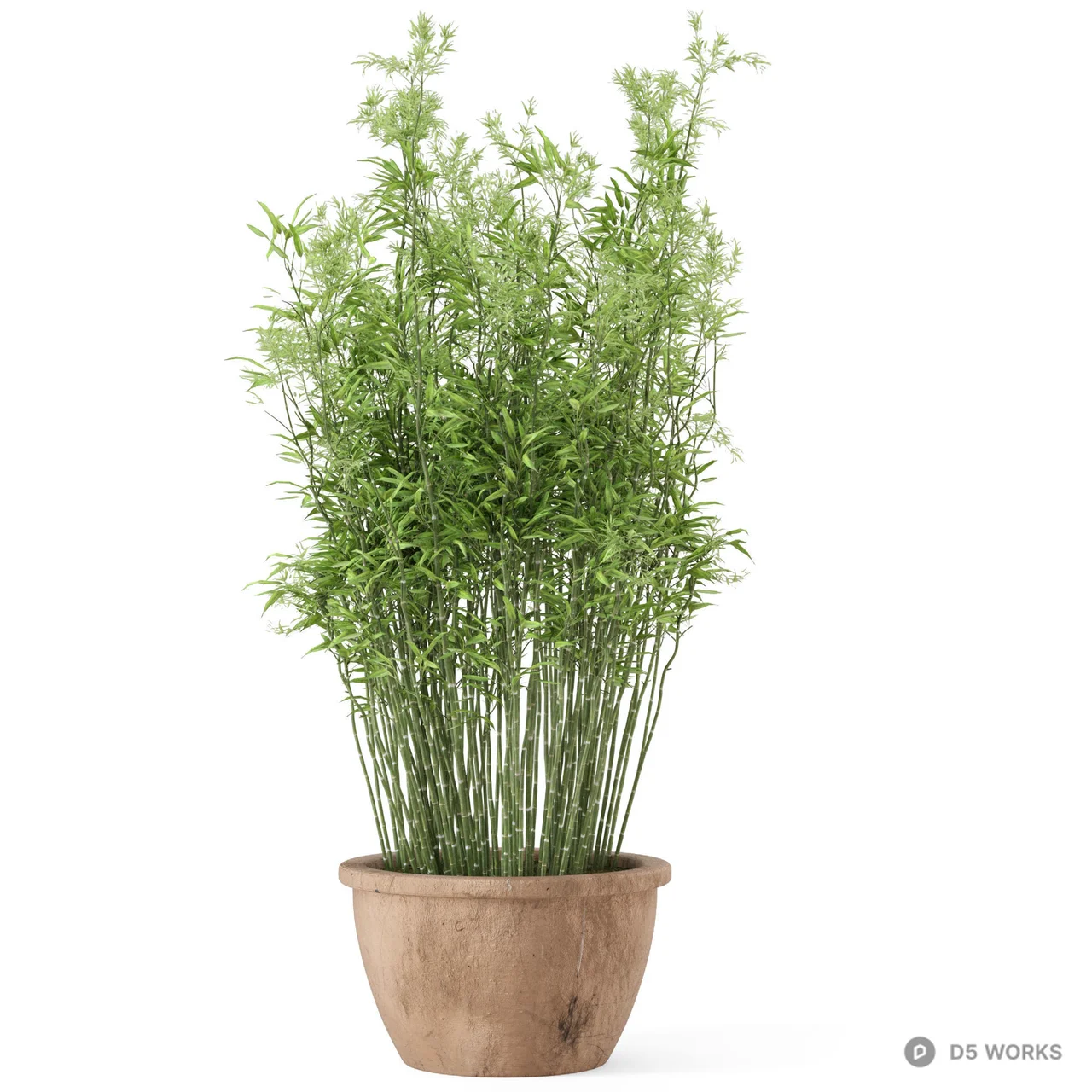 Potted Bamboo Plant 3d model thumbnail 2