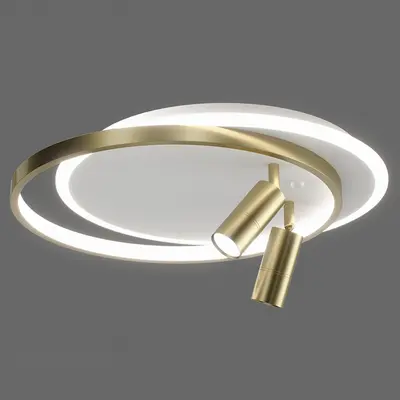 Modern Flush Mount Light