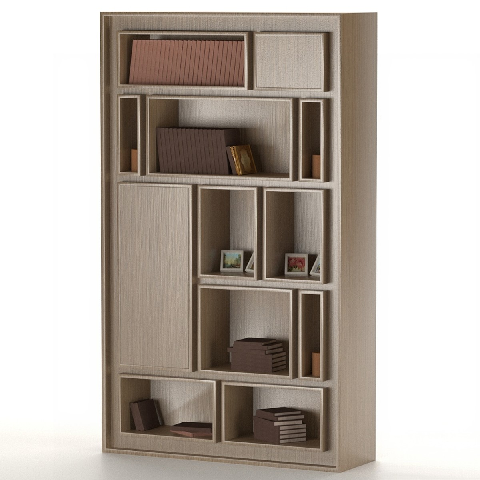 Modern Bookshelf