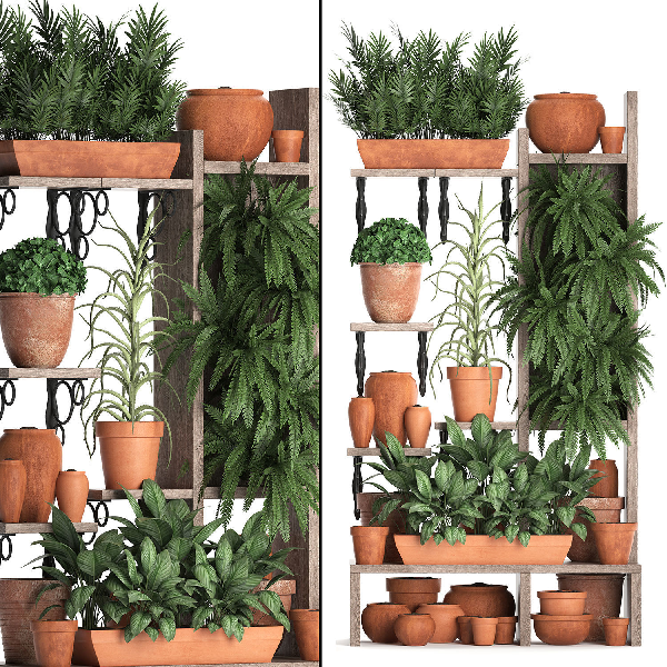 Modern Potted Plant