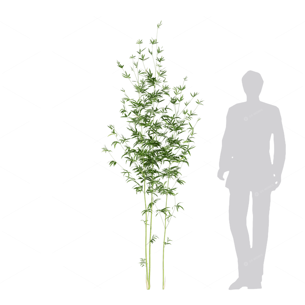 Other Botanicals 3D Models